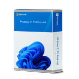 Microsoft Windows 11 Professional OEM Downloadlizenz